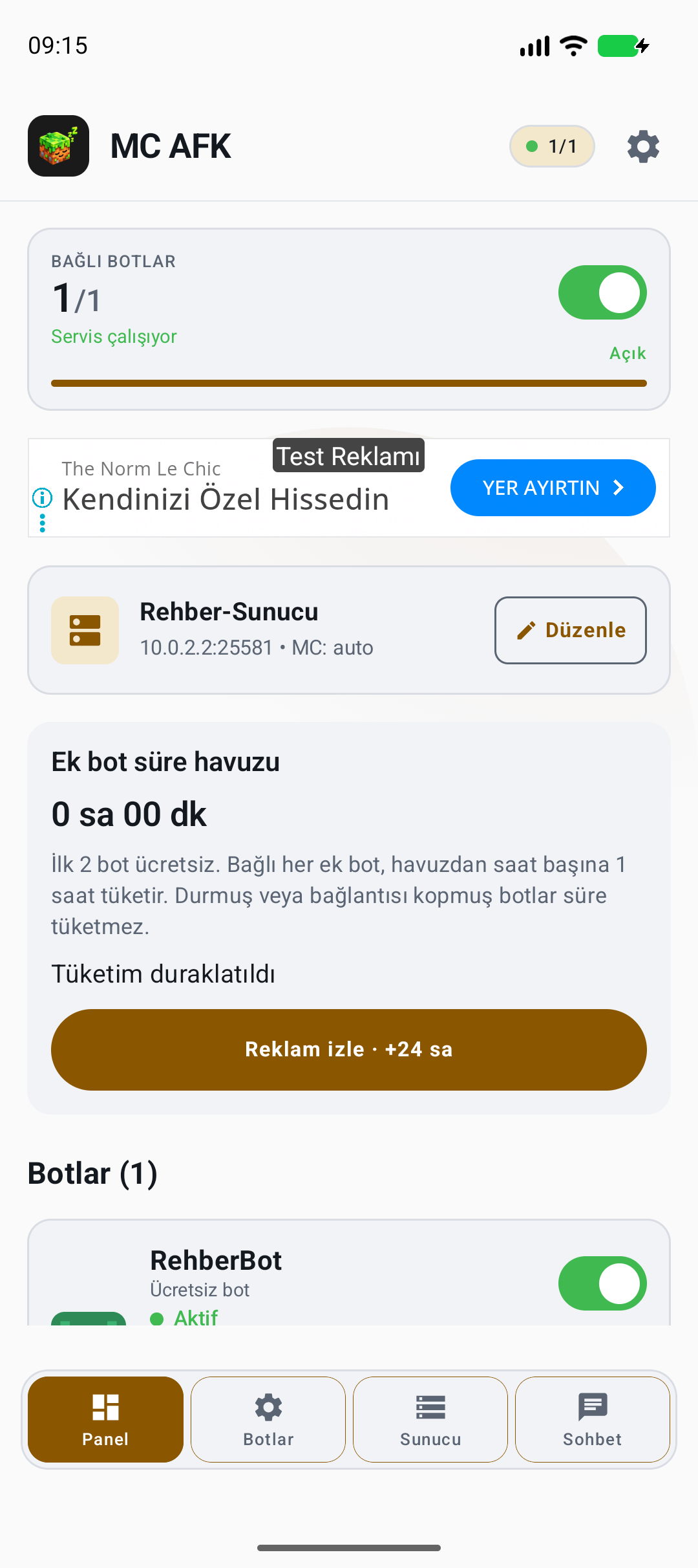 Panel ve bot durumları — gerçek yerel örnek ekranı